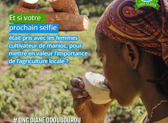 WhatsApp Image 2025-10-15 at 09.49.11